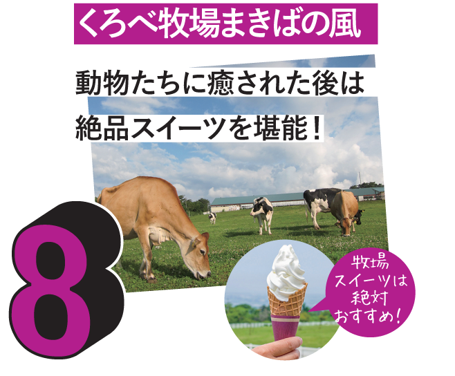 8.くろべ牧場まきばの風 8.くろべ牧場まきばの風