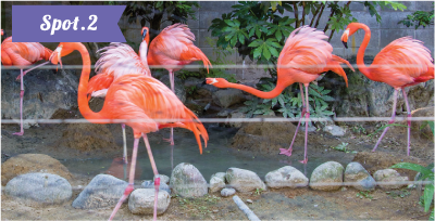 高岡古城公園動物園