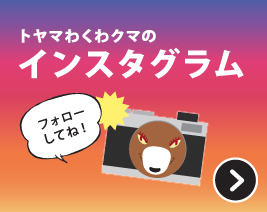 インスタグラム