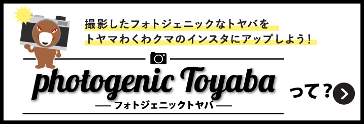 photogenicToyabaって?