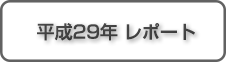 平成29年レポート