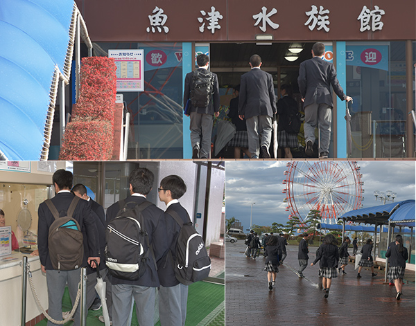 魚津市水族館見学