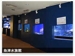 埋没林博物館