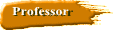Professor