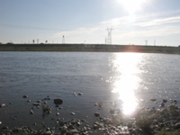 P1010013