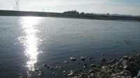 P1000349