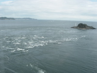 DSCN0278
