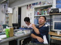 Hello Mr. Qu.