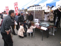 Festival of Shrimp and Crab. -4