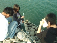 blue(?) and beautiful(??) Jinzu river