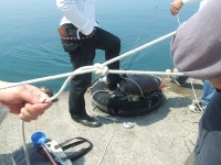 bowline knot and sea faring man(esuki)