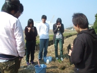 What is contents of the bucket...