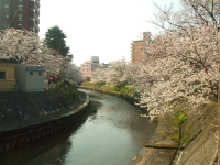 It's spring