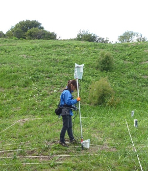 magnetic survey in Hokkaido
