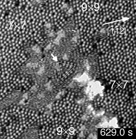 STM image