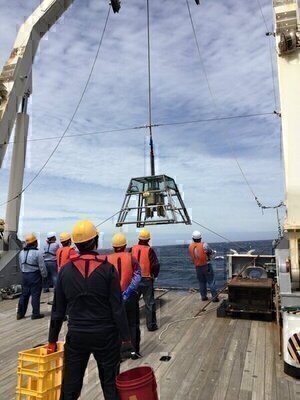 研究航海での海洋観測