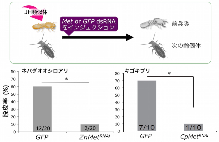 topics17fig1.jpg