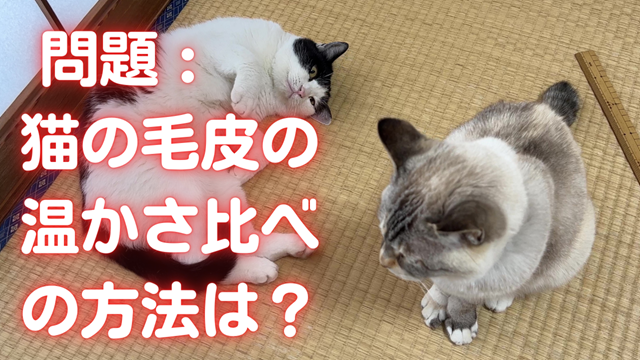 フリー画像