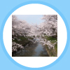 春(松川)