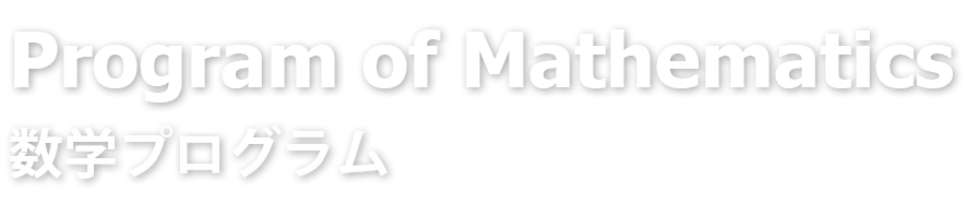 数学プログラム