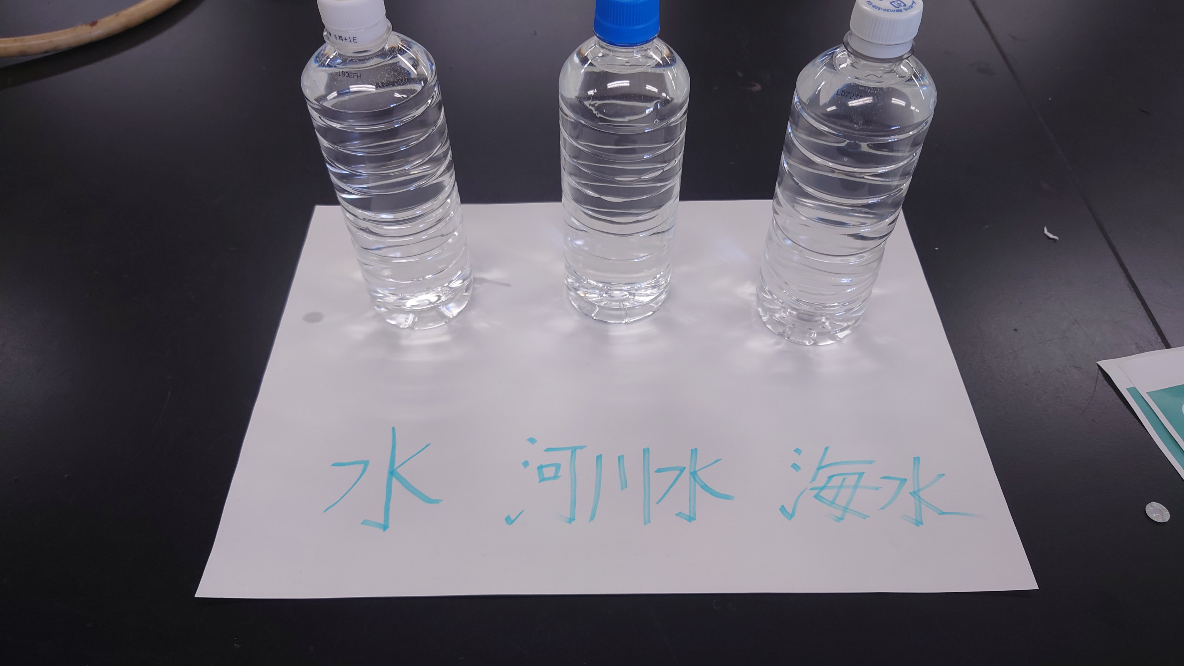 海のふしぎな力