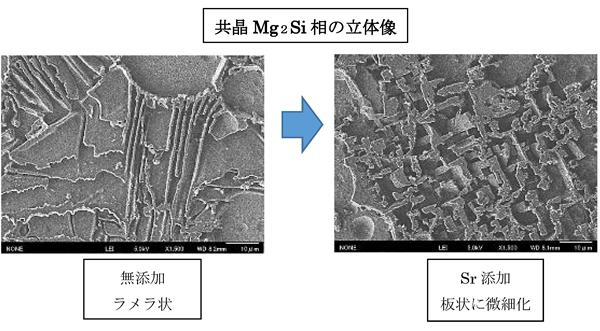 共晶Mg２Si相の立体像