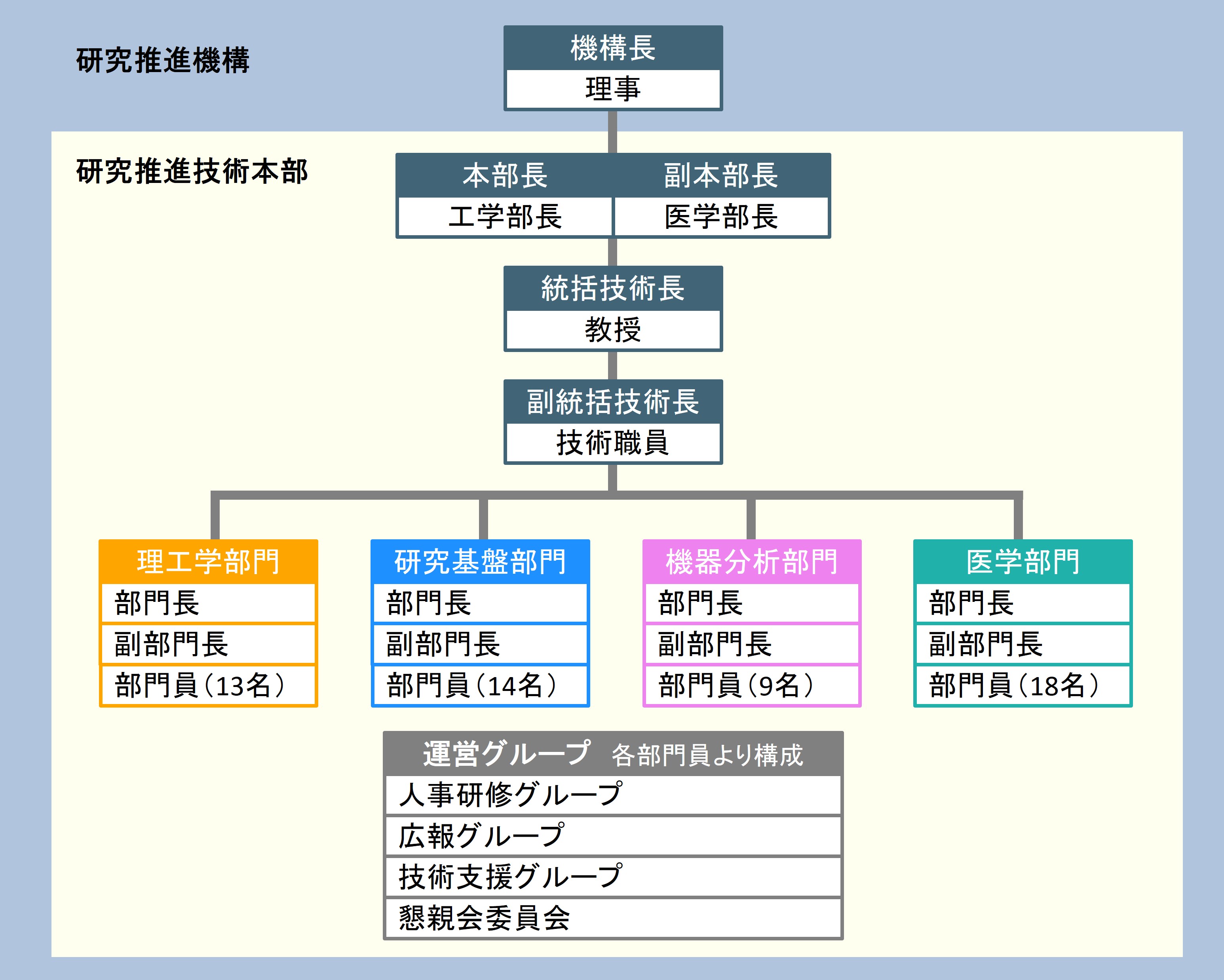 組織図
