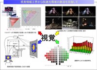 視覚情報工学から快適光環境の創造を目指して