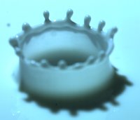 ミルククラウン