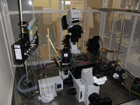 プチ科学教室D