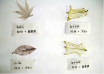 プチ科学教室N