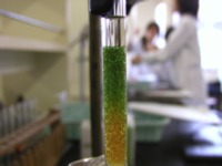 高効率元素分離技術の開発