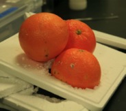 みかんで発泡スチロールのリサイクル?