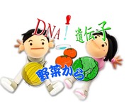 遺伝子の本体DNAを目で見てみよう