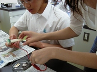 電気化学で作ろう!黄金色に輝くオリジナルペンダント
