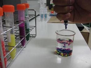 ものつくりから再生医療への第一歩〜ゲルから学ぶ科学の不思議〜