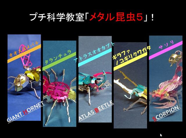 メタル昆虫５